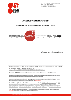 assessment