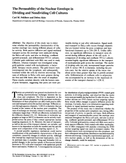 The Permeability of the Nuclear Envelope in Dividing and