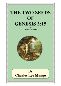 The Two Seeds - The New Ensign