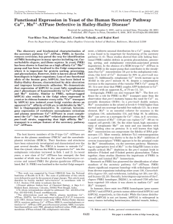 Functional Expression in Yeast of the Human Secretory Pathway