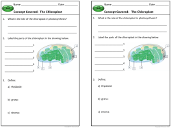 Concept Covered: The Chloroplast Concept Covered: The Chloroplast