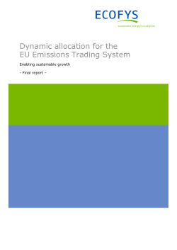 Dynamic allocation for the EU Emissions Trading System