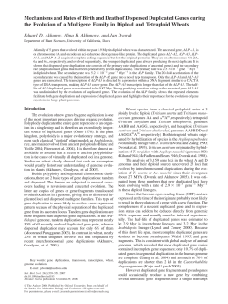 Mechanisms and Rates of Birth and Death of Dispersed Duplicated