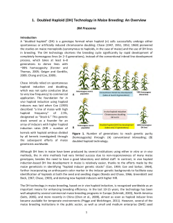 1. Doubled Haploid (DH) Technology in Maize Breeding