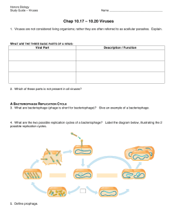Chap 10.17 &ndash; 10.20 Viruses