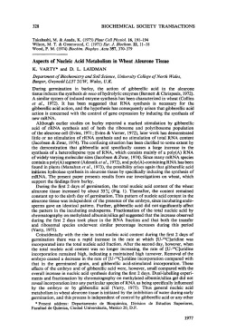 Aspects of Nucleic Acid Metabolism in Wheat Aleurone Tissue