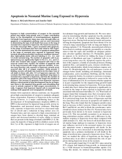 Apoptosis in Neonatal Murine Lung Exposed to Hyperoxia