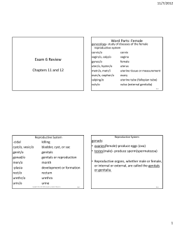 Exam 6 Review