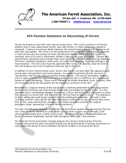 AFA Position Statement on Descenting Ferrets