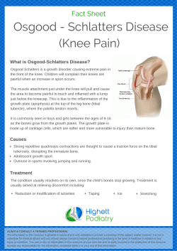 Osgood Schlatters - Highett Podiatry
