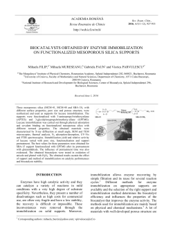 biocatalysts obtained by enzyme immobilization on functionalized