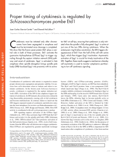 Proper timing of cytokinesis is regulated by Schizosaccharomyces