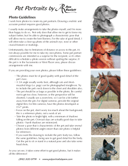 the photo guidelines