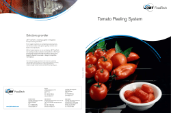 Tomato Peeling System