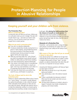 The Protection Plan What is a protection plan?