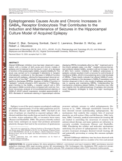 Epileptogenesis Causes Acute and Chronic Increases in GABAA