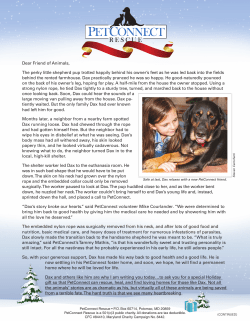 Dear Friend of Animals, The perky little shepherd pup trotted happily