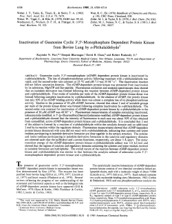 74 - ACS Publications - American Chemical Society