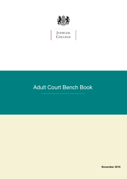 Adult Court Bench Book - November 2016