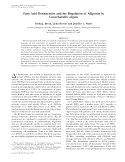 Fatty Acid Desaturation and the Regulation of Adiposity