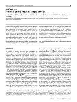 Zebrafish: gaining popularity in lipid research