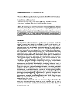 The role of microcystins in heavy cyanobacterial