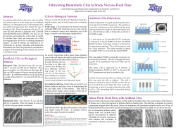 Fabricating Biomimetic Cilia to Study Viscous Fluid Flow