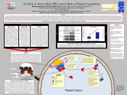 Milwaukee Academy of Science SMART Team