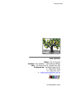 008 - City of Vincent