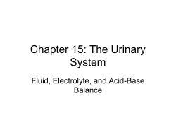 Chapter 15: The Urinary System