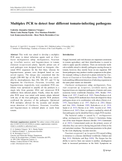 Multiplex PCR to detect four different tomato