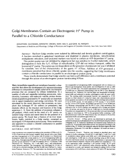 Golgi Membranes Contain an Electrogenic H +