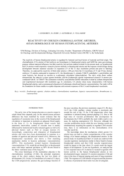 reactivity of chicken chorioallantoic arteries, avian homologue of