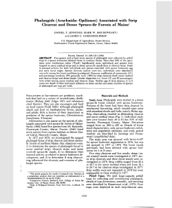 Phalangids (Arachnida: Opiliones) Associated with Strip