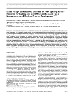 Maize Rough Endosperm3 Encodes an RNA