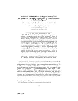 Parasitism and Predation on Eggs of Leptoglossus phyllopus (L