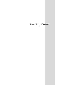 Annex 1 | Pictures