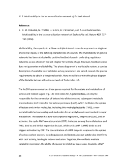 IV. 2. Multistability in the lactose utilization network of