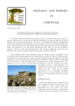 Geology and Hedges in Cornwall