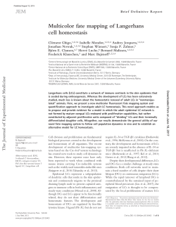 Multicolor fate mapping of Langerhans cell homeostasis - JEM