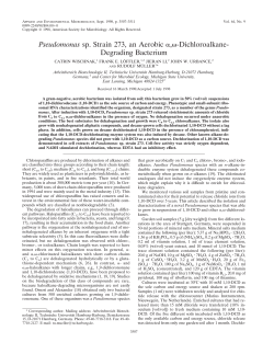 Pseudomonas sp. Strain 273, an Aerobic &alpha;,&omega;