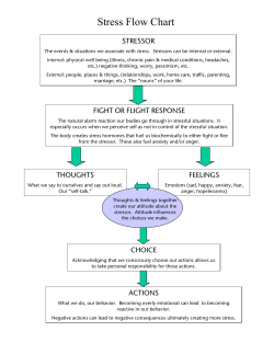 Stress Flow Chart - Employer Solutions