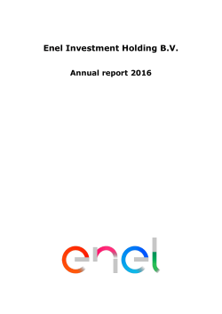 Annual Report 2016 - Enel Investment Holding B.V.