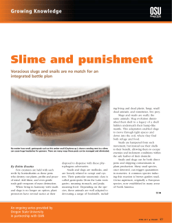 Slime and punishment - Oregon Association of Nurseries