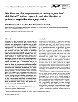 Mobilization of nitrogen reserves during regrowth
