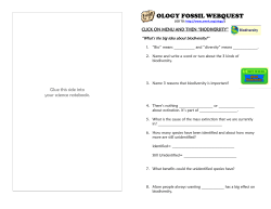 ology fossil webquest