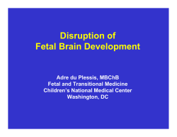 Disruption of Fetal Brain Development