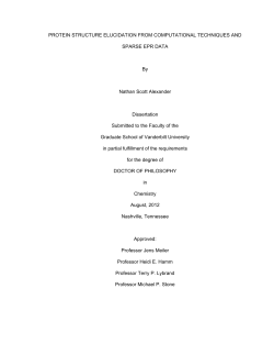 PROTEIN STRUCTURE ELUCIDATION FROM COMPUTATIONAL
