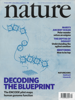 PDF - Massachusetts Institute of Technology