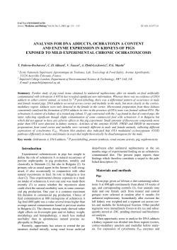 analysis for dna adducts, ochratoxin a content
